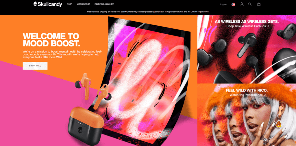 Skullcandy Web Design